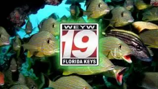 SPLASH   Stay In School And Watch WEYW19,