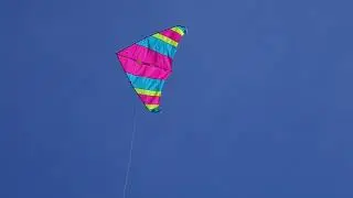 Delta Wing Kite