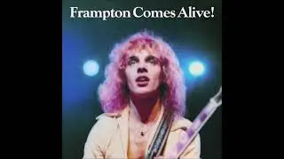 PETER FRAMPTON : Frampton Comes Alive ! LP 1976 vinyl full album
