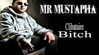 Mr Mustapha - C&eacute;libataire Bitch 2012 - by davide.WEBM