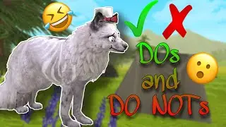 WildCraft: DOs and DON'Ts ~ Featuring Maple Leaf