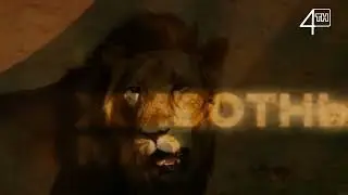 ТН - 4 года | Запись 19:00 - 00:07 ( 18 Декабря )