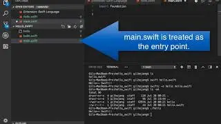 Hello Swift Console with Visual Studio Code