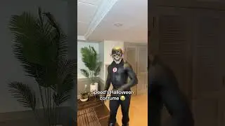Speed was Black Flash for Halloween 😂🔥 (via @IShowSpeed/TT)