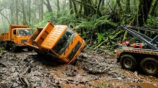 7 Days of High-Speed Construction Building an Elevated Wooden Road Across the Swamp
