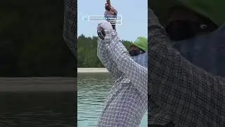Stalking Triggerfish on a remote island - &lsquo;Alphonse&rsquo; on FishingTV
