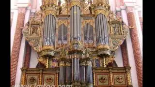 Nicolaus Bruhns   Praeludium in E moll    Piet Kee on the Raphaelis organ of Roskilde Cathedral