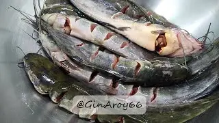 Pla Duk Yang (Thai Grilled Catfish) | ปลาดุกย่าง – Crispy, Juicy & Full of Flavor