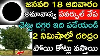 జనవరి 18 ఆదివారం అమావాస్య పవర్ఫుల్ వేపచెట్టు దగ్గర ఇది పడేయండి రెండు నిమిషాల్లో దరిద్రం పోయి కోట్లు