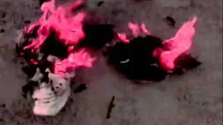 KOOKOONAUTS  Inevitable