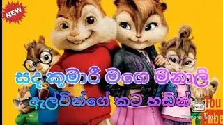 Sanda kumari mage manali (සද කුමාරී මගෙ මනාලී) alvin song ( ඇල්වින්ගේ කට හඩින්)