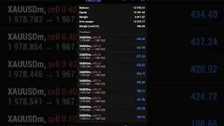 Forex EA Trading One Day Profit #forexea #forex #forexrobotexpertadvisor #automatedtrading