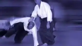 Kurt Bartholet Sensei - Seminar in Damascus (Damascus/Syria, 2008)