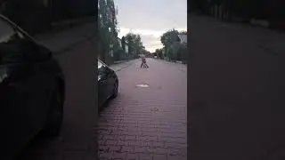 Bodzio - wariat na motorze 🤣