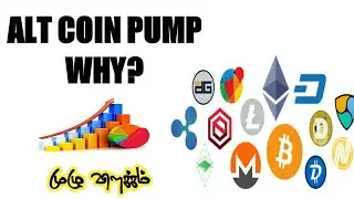 Altcoin Pumping Soon? | Bitcoin | Reasons | Latest Crypto News Tamil