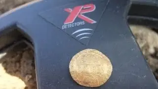 Chris scores Gold Coin in Hampshire: George III quarter Guinea