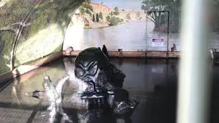 The Bunyip at Murray Bridge