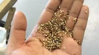 gingili sesame color sorter
