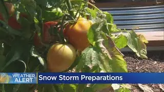Colorado Farm Welcomes Guests To Pick Produce Before Storm