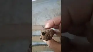Self employment Desi cowdung products