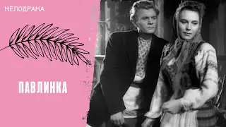 В БОРЬБЕ ЗА СВОЕ СЧАСТЬЕ! Павлинка