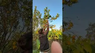 Ajj Mitra ke sath khet Gaya #minivlog #familyvlog #vlog #hardworkwork #dosti #kam #khetibadi #reels
