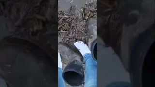 Muddy white socks