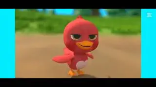 duck adventure