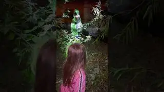 Kids nature walk adventure at night | Outdoor family fun with dad #shorts