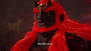Hyrule Warriors: Age of Imprisonment | Part 47: The Demon King, Ensnared