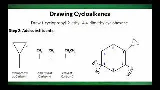 How to Draw Cycloalkanes | Structural and Line-Angle Formulas for SHS Organic Chemistry