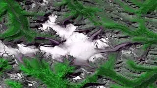 50 Years of Glacial Retreat in Canada