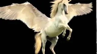 Unicorn Wings