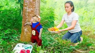 Monkey MiMi Refuses to Go Home &ndash; Mom&rsquo;s Struggle to Bring Him Back!