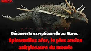 D&eacute;couverte exceptionnelle au Maroc:  Spicomellus afer, le plus ancien ankylosaure du monde