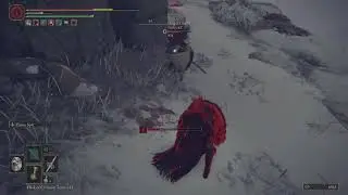 Elden Ring: One Eyed Shield Showcase
