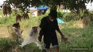 TRASHTAG CHALLENGE