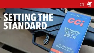 Тестирование CCI Standard Velocity 22LR в моем Ruger RPR