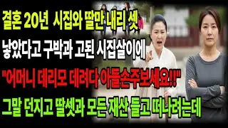 결혼 20년 시집와 딸만 내리 셋낳았다고 구박과 고된 시집살이에 어머니 데리모 데려다아들 손주보세요 그말 던지고 딸셋과 모든 재산 들고 떠나려는데