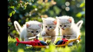 Paw Patrol: Cat EditionKitty Chopper Quest #cat #cartoon #cartooncat