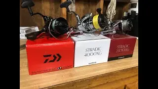 Reel Comparison Daiwa Saltist Back Bay V. Shimano Stradic FL and FK