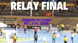 Gibson McCook 2025 Relays High School Boys and Girls  Stunning Performances in 4x800m (part 2)