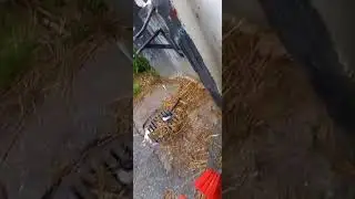 byggern 10 Jun