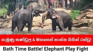 ගැමුණු vs මහසෙන් නාන්න ඇවිත් රන්ඩුව | Gemunu vs Mahasen &ndash; Epic Water Battle