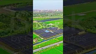 #BLE #IITRoorkee #IoT #SmartFarming #Logistics #TechnologyRevolution