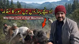 Paharon Aur Jungle Mein Khatarnak Wild Boar Hunt | Adnan Shahzad 