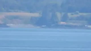 Some Members of J Pod of the Endangered Southern Resident Killer Whales, in Haro Strait, June 5 2023