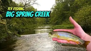 Ловля нахлыстом SMART Wild Trout на Биг-Спринг-Крик (известняк Пенсильвании)