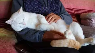 しらたまを抱っこしてなでなで　260119