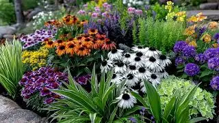 Plant These Perennials Now for a Pollinator Paradise & Colorful Blooms This Fall Season